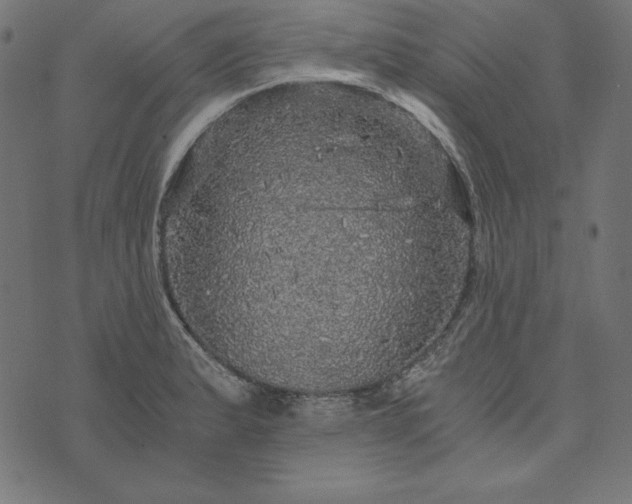 X0000073751183200608171323