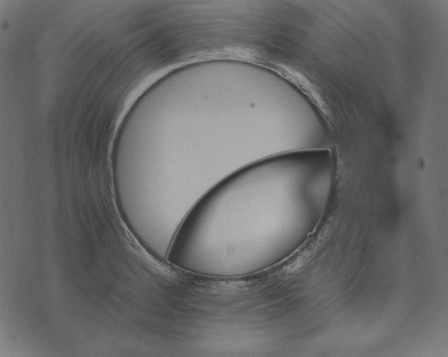 X0000073751184200608171323