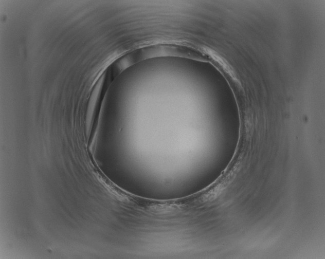 X0000073751185200608171323