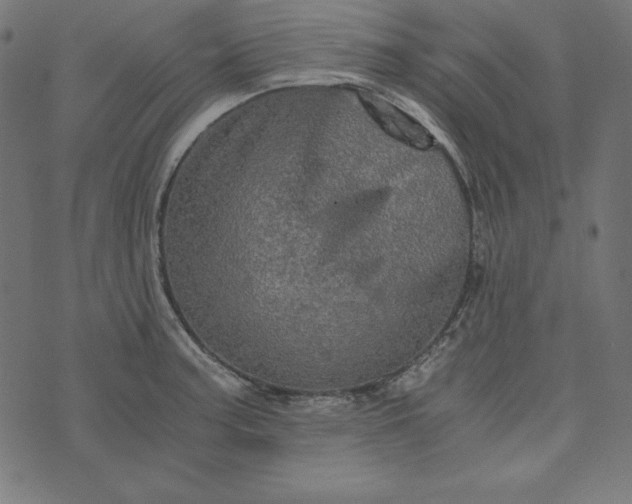 X0000073751187200608171323