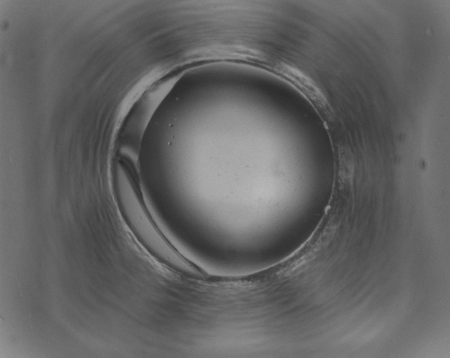 X0000073751188200608171323