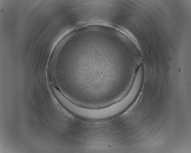 X0000073751190200608171323