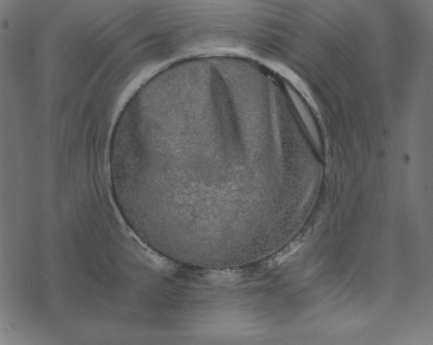 X0000073751191200608171323