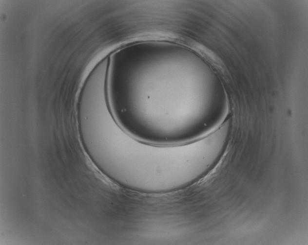 X0000073751192200608171323