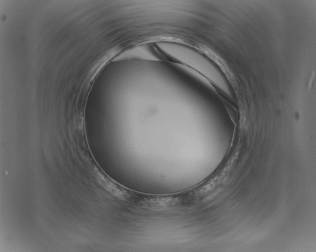 X0000073751193200608171323