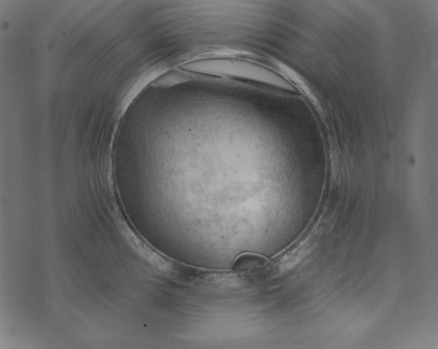 X0000073751194200608171323