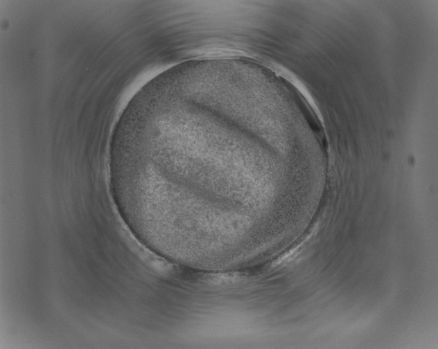 X0000073751195200608171323