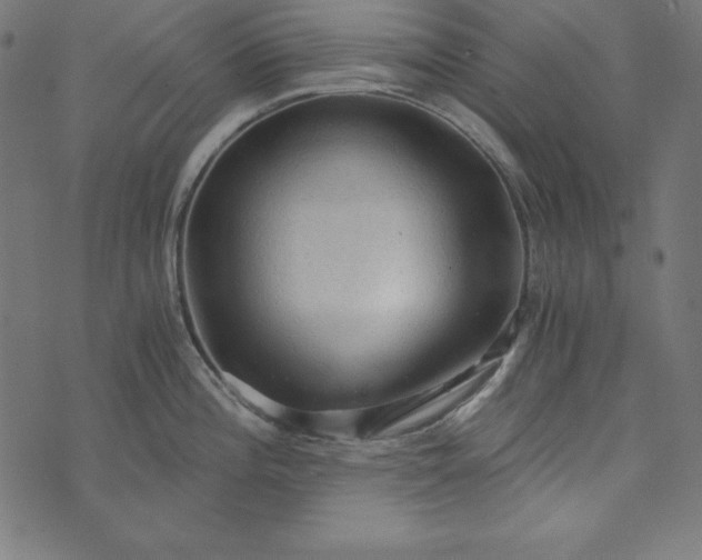 X0000073751196200608171323