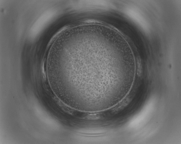 X0000073751198200608171323