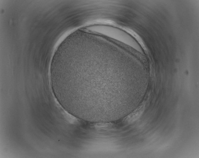 X0000073751199200608171323