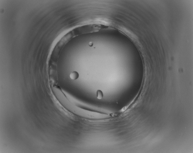 X0000073751200200608171323