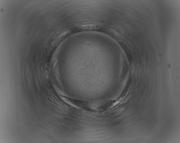 X0000073751202200608171322