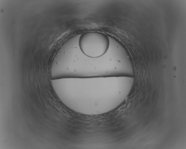 X0000073751205200608171322