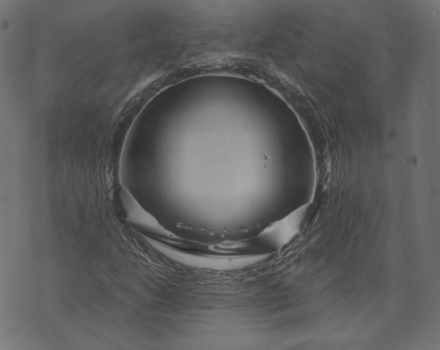 X0000073751206200608171322