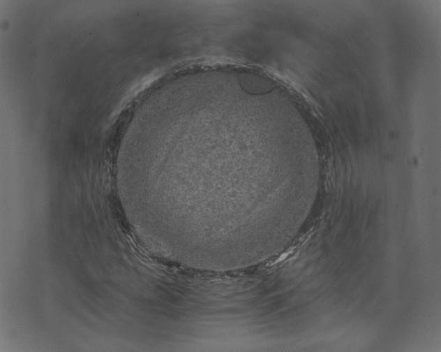 X0000073751207200608171322