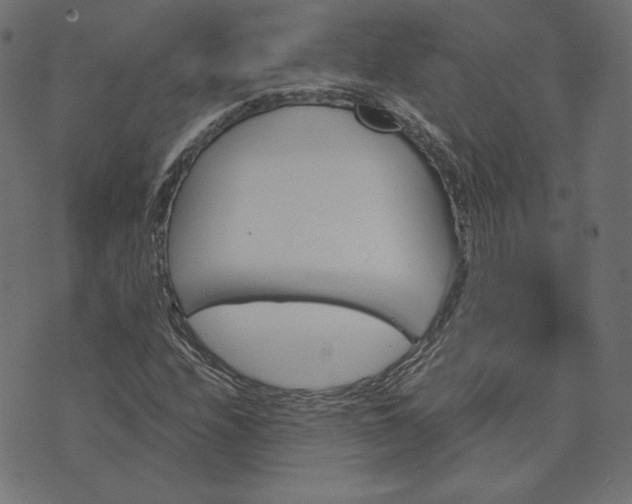 X0000073751208200608171322