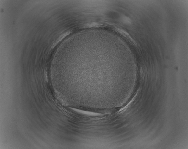 X0000073751209200608171322