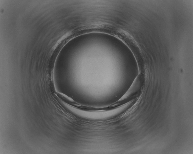 X0000073751210200608171323