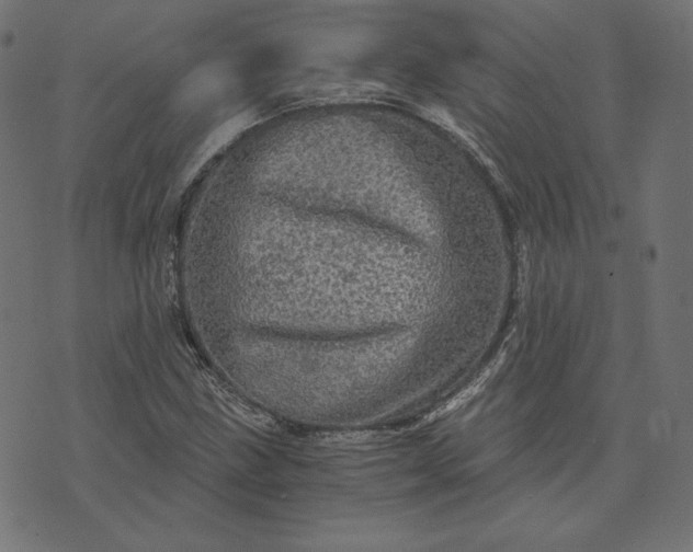 X0000073751211200608171323