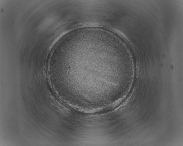 X0000073751212200608171323