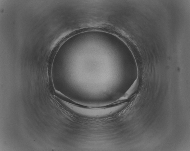 X0000073751214200608171323