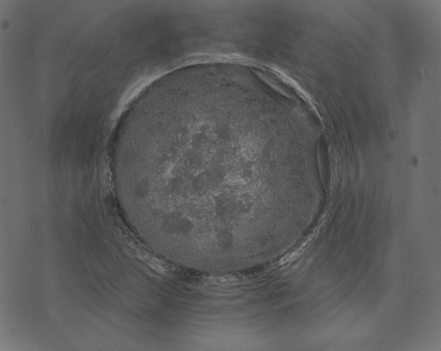 X0000073751215200608171323