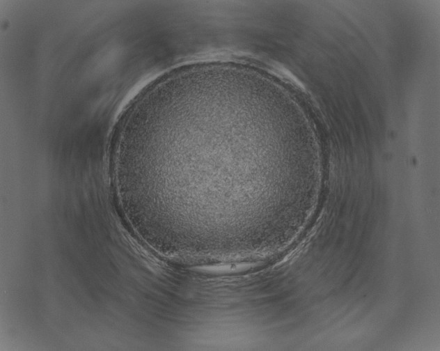 X0000073751216200608171323