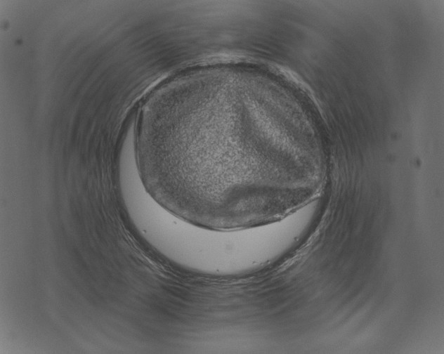 X0000073751217200608171323