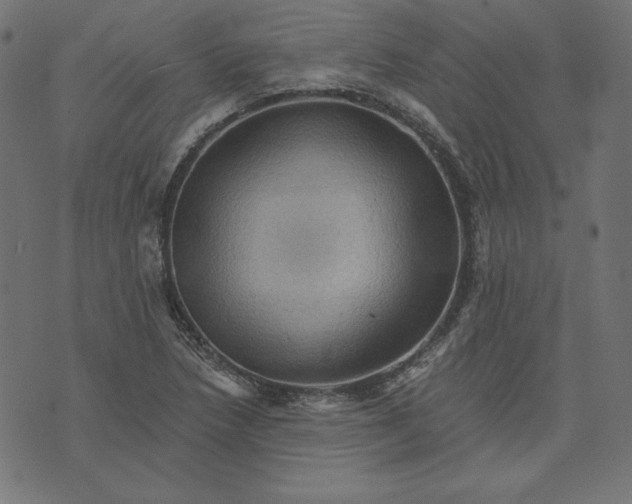 X0000073751218200608171323