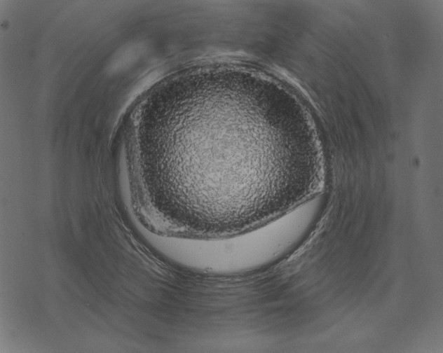 X0000073751219200608171323