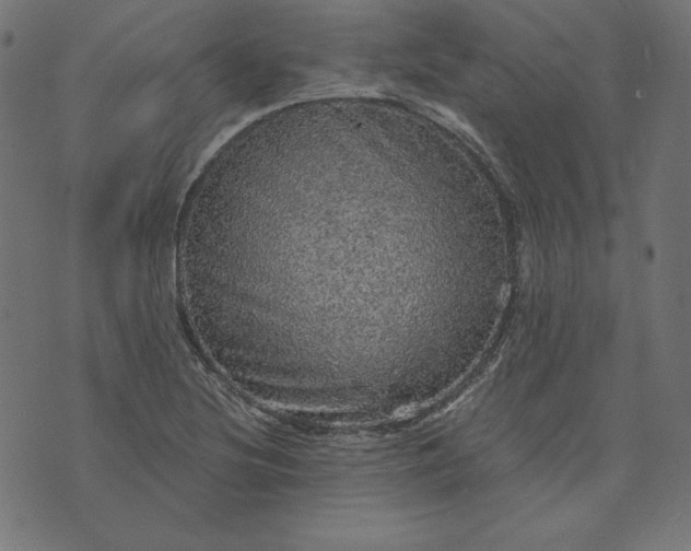 X0000073751220200608171323