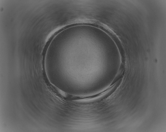 X0000073751222200608171323