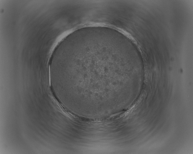 X0000073751223200608171323