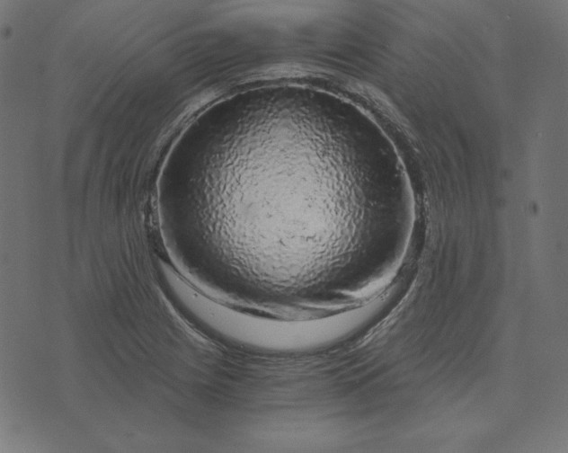 X0000073751225200608171323