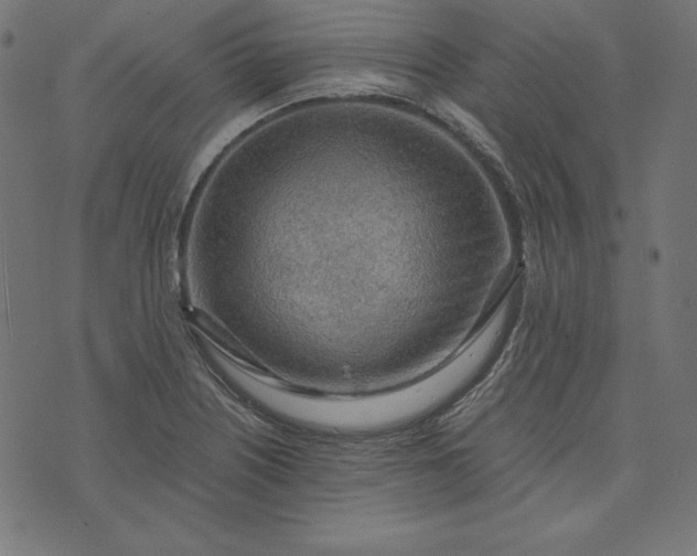 X0000073751226200608171323