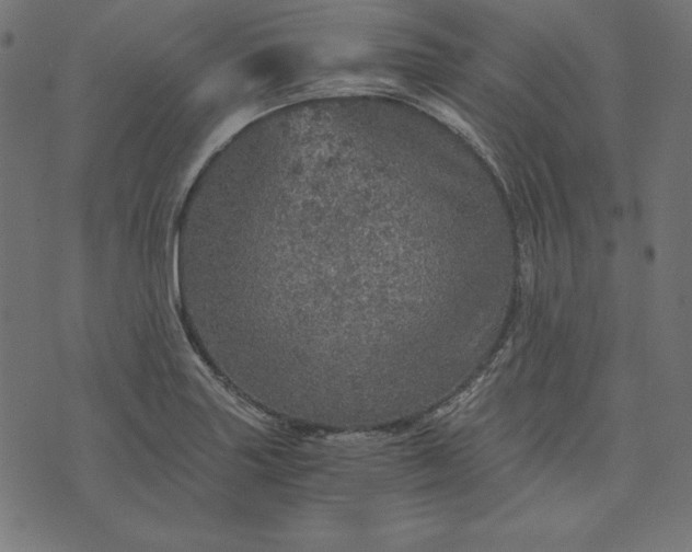 X0000073751227200608171323