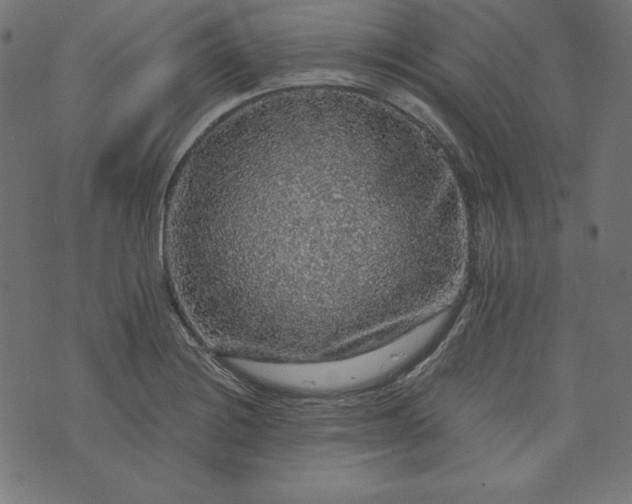 X0000073751228200608171323