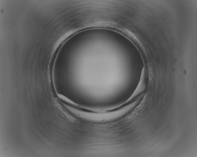 X0000073751230200608171323