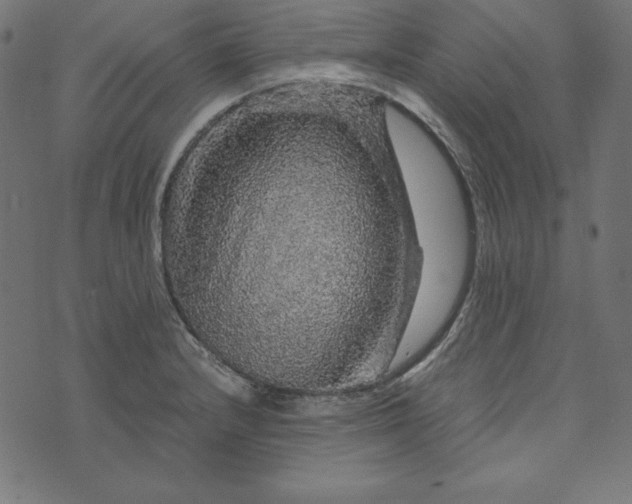 X0000073751232200608171323