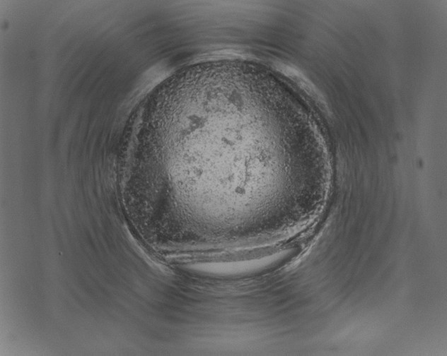 X0000073751233200608171323