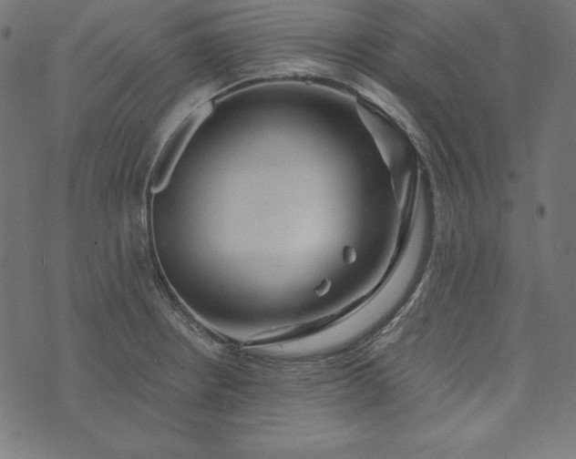 X0000073751234200608171323