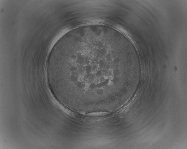 X0000073751235200608171323