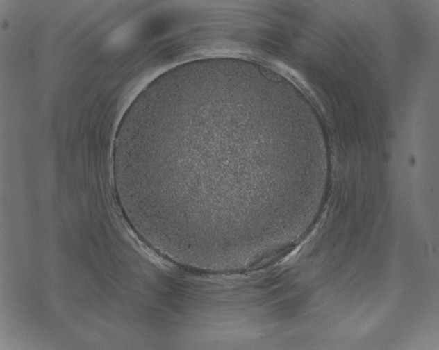 X0000073751236200608171323