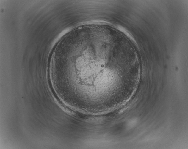 X0000073751237200608171323