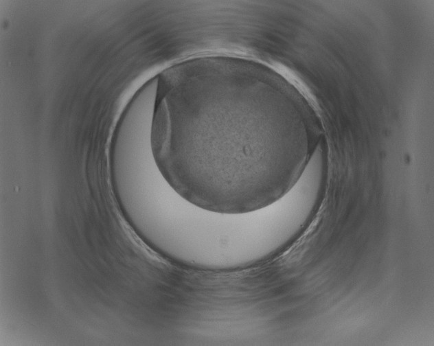 X0000073751238200608171323