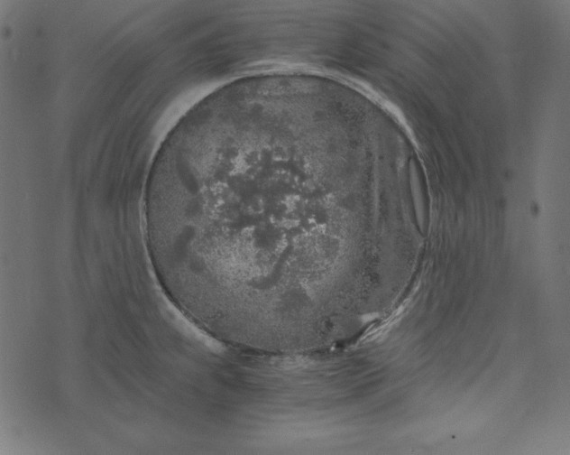 X0000073751239200608171323