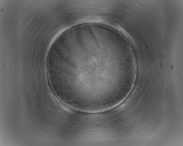 X0000073751240200608171323