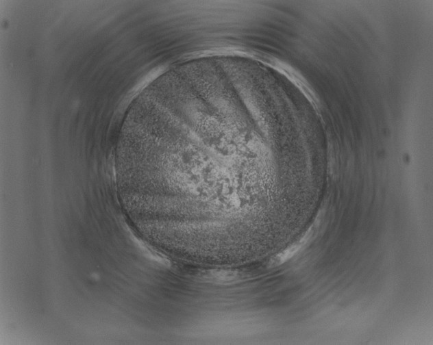 X0000073751241200608171323