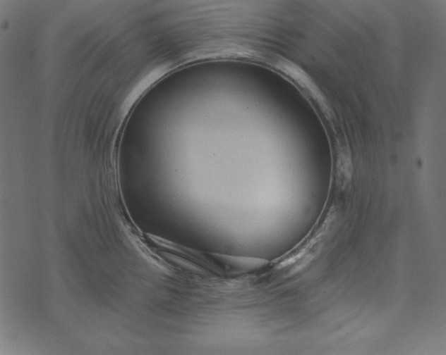 X0000073751242200608171323