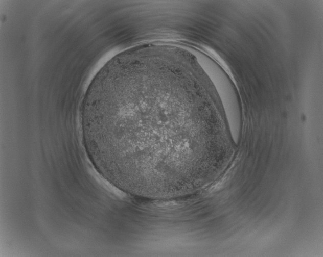 X0000073751243200608171323